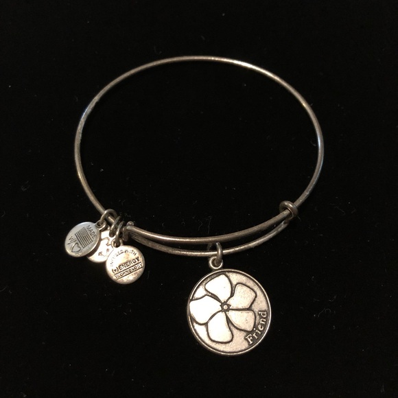 Alex and Ani Friendship Bracelet Silver Tone - Picture 1 of 3